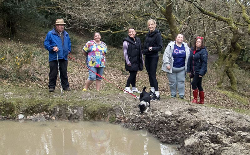 The new pond in the woodland